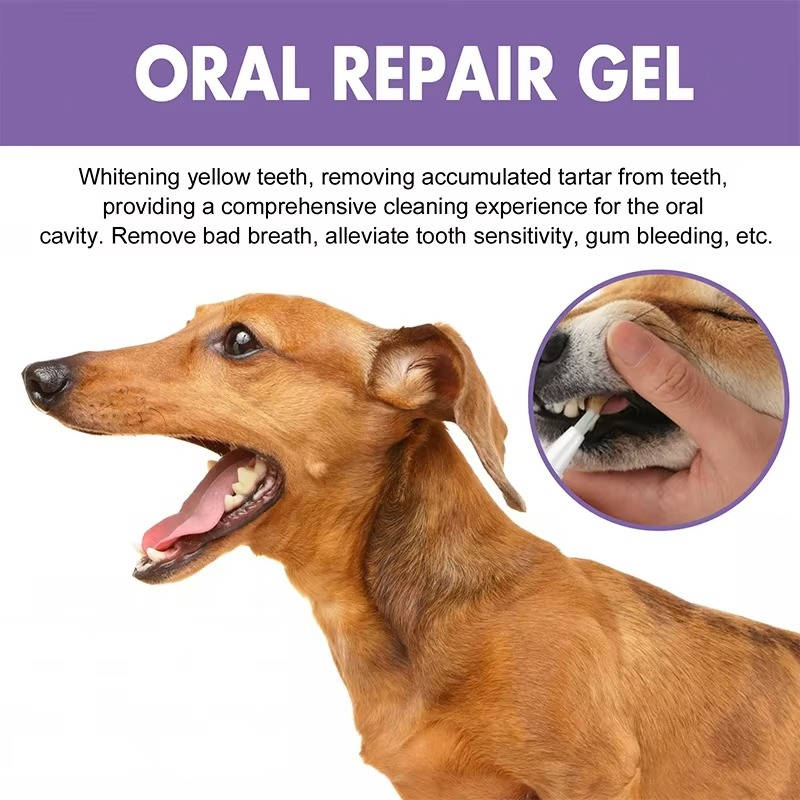 3 lots de gel réparateur buccal pour chiens 2