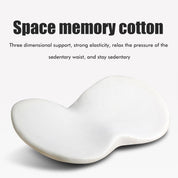Car booster seat cushion for adult