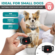 Nina | Anti-Bark Collar – Guaranteed Calm for Small Dogs