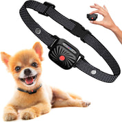 Nina | Anti-Bark Collar – Guaranteed Calm for Small Dogs