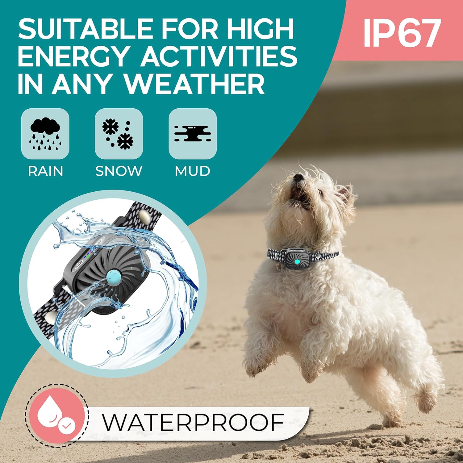 Nina | Anti-Bark Collar – Guaranteed Calm for Small Dogs