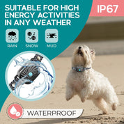 Nina | Anti-Bark Collar – Guaranteed Calm for Small Dogs