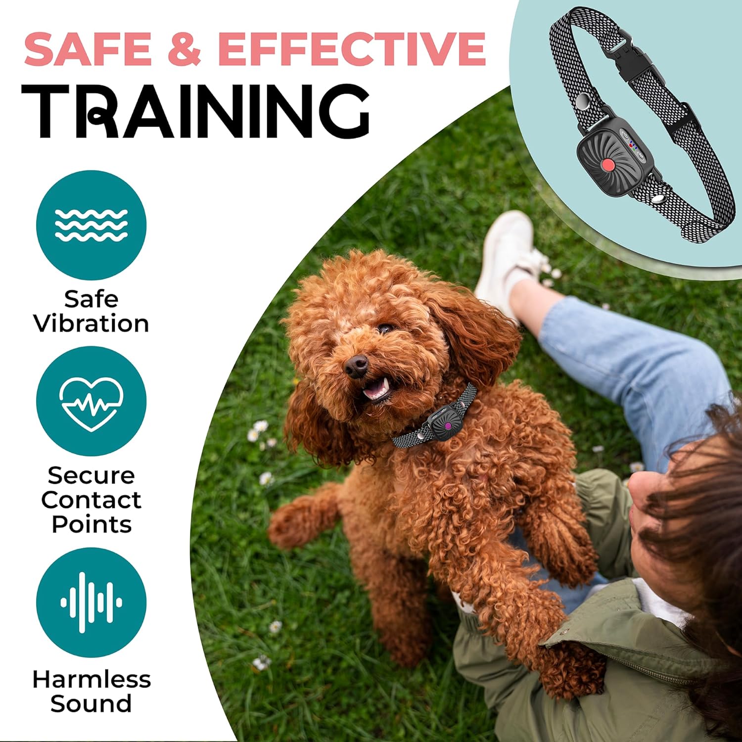 Nina | Anti-Bark Collar – Guaranteed Calm for Small Dogs