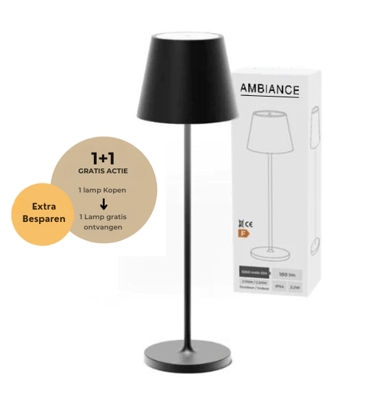 AMBIANCE - Offre set de lampes sans fil 1