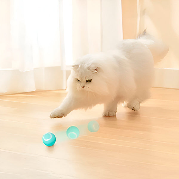 Balle interactive pour animaux de compagnie, roule automatiquement 0