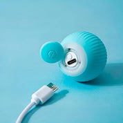 Balle interactive pour animaux de compagnie, roule automatiquement 4