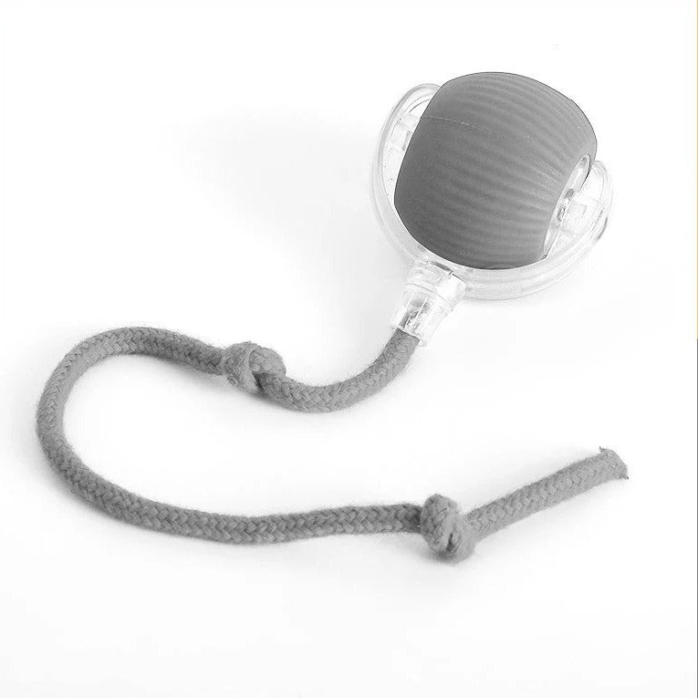 Balle roulante active avec queue pour chiens 2