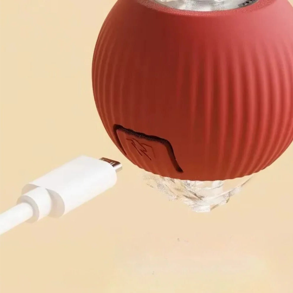 Balle roulante active avec queue pour chiens 7