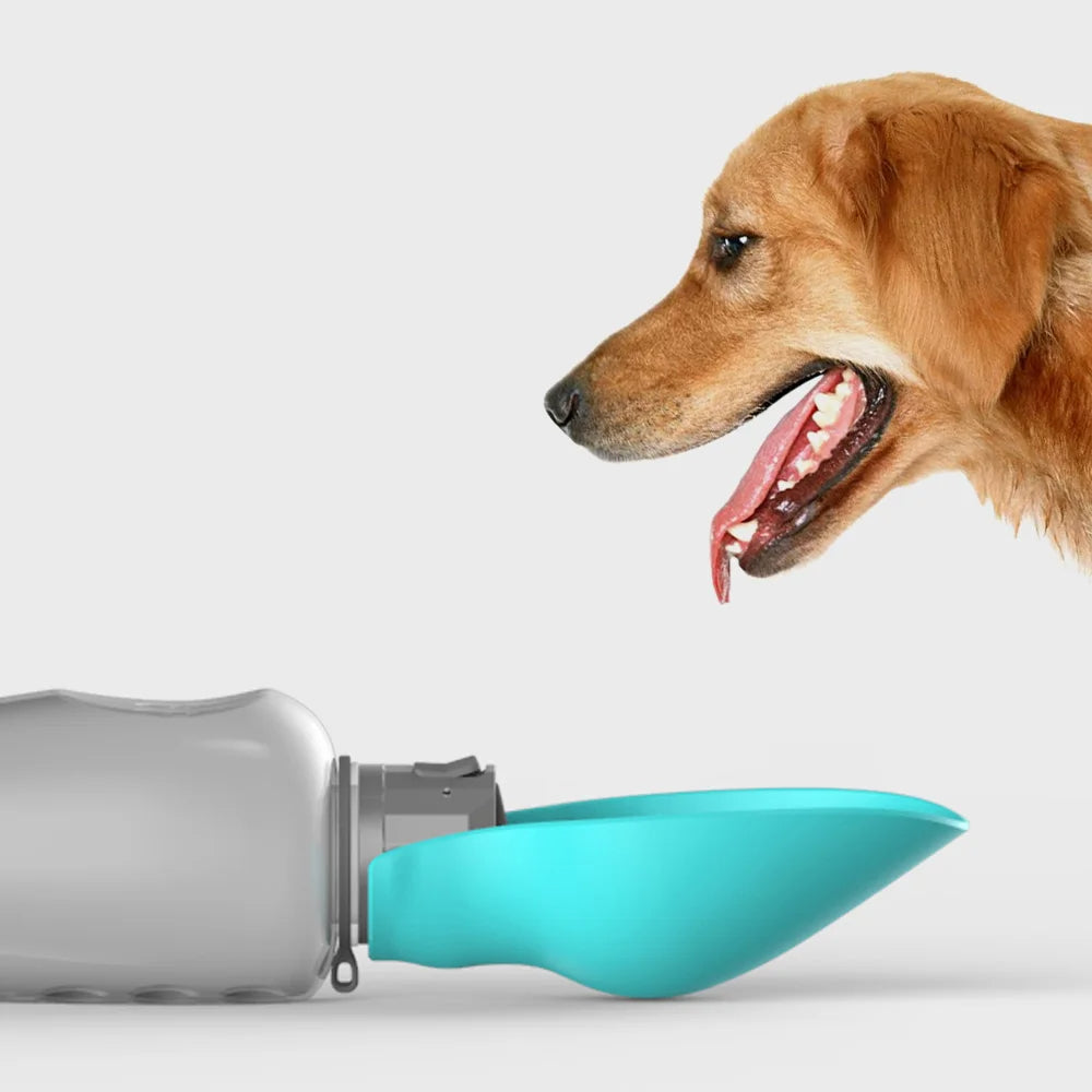 Bouteille d'eau portable pour chiens 1