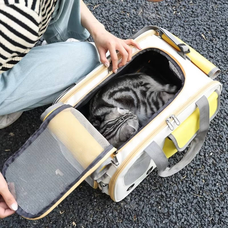 Cage de transport pour chats et petits chiens 3