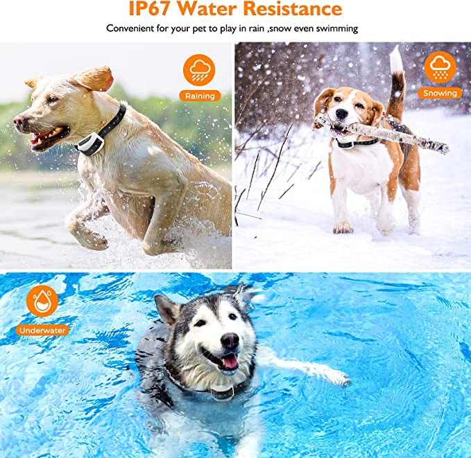 Clôture sans fil pour chien avec collier 2