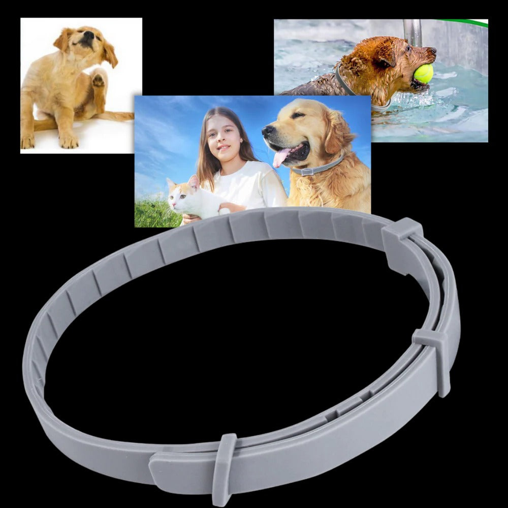 Collier antiparasitaire pour animaux de compagnie 1