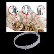 Collier antiparasitaire pour animaux de compagnie 3