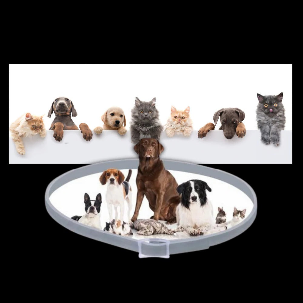 Collier antiparasitaire pour animaux de compagnie 4