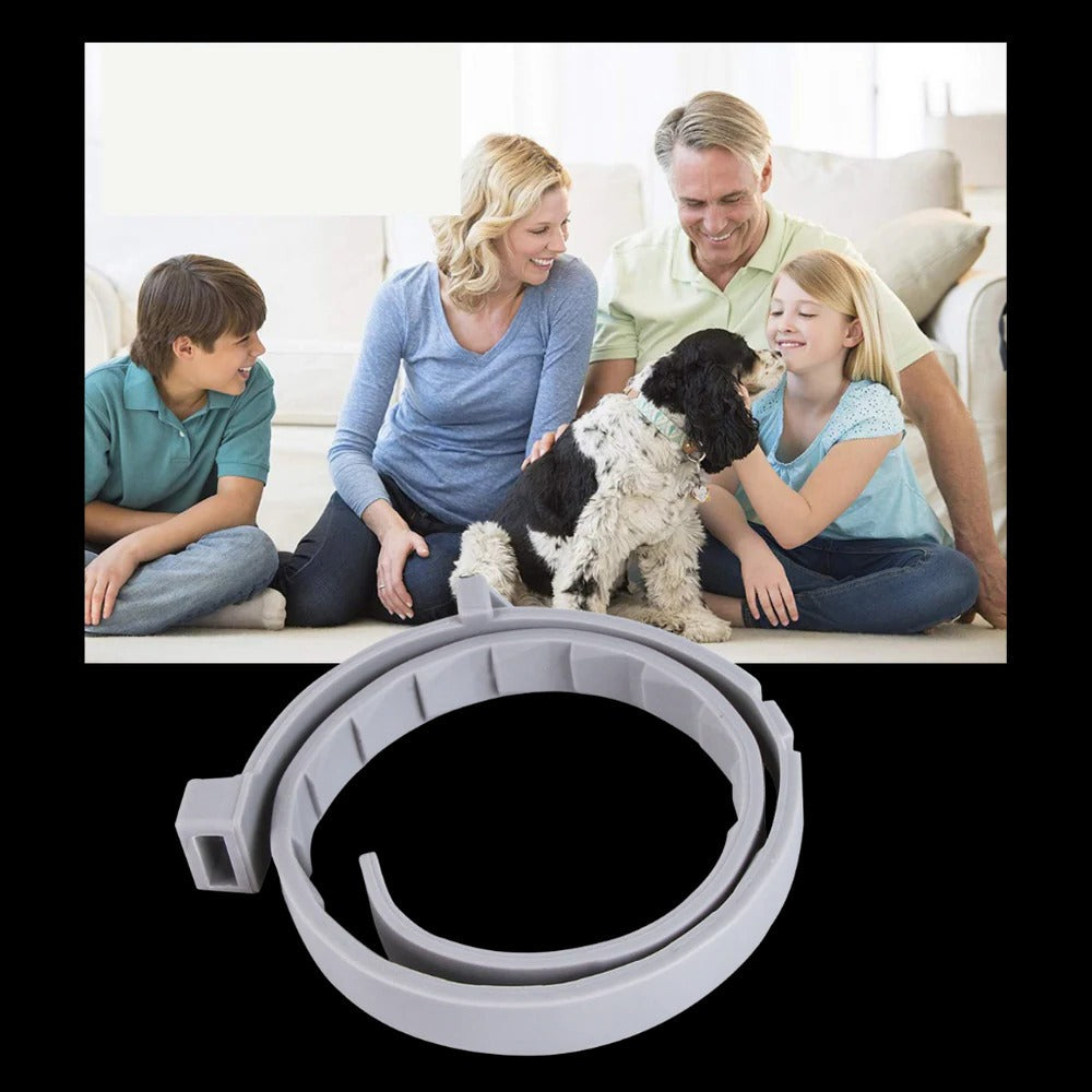 Collier antiparasitaire pour animaux de compagnie 5