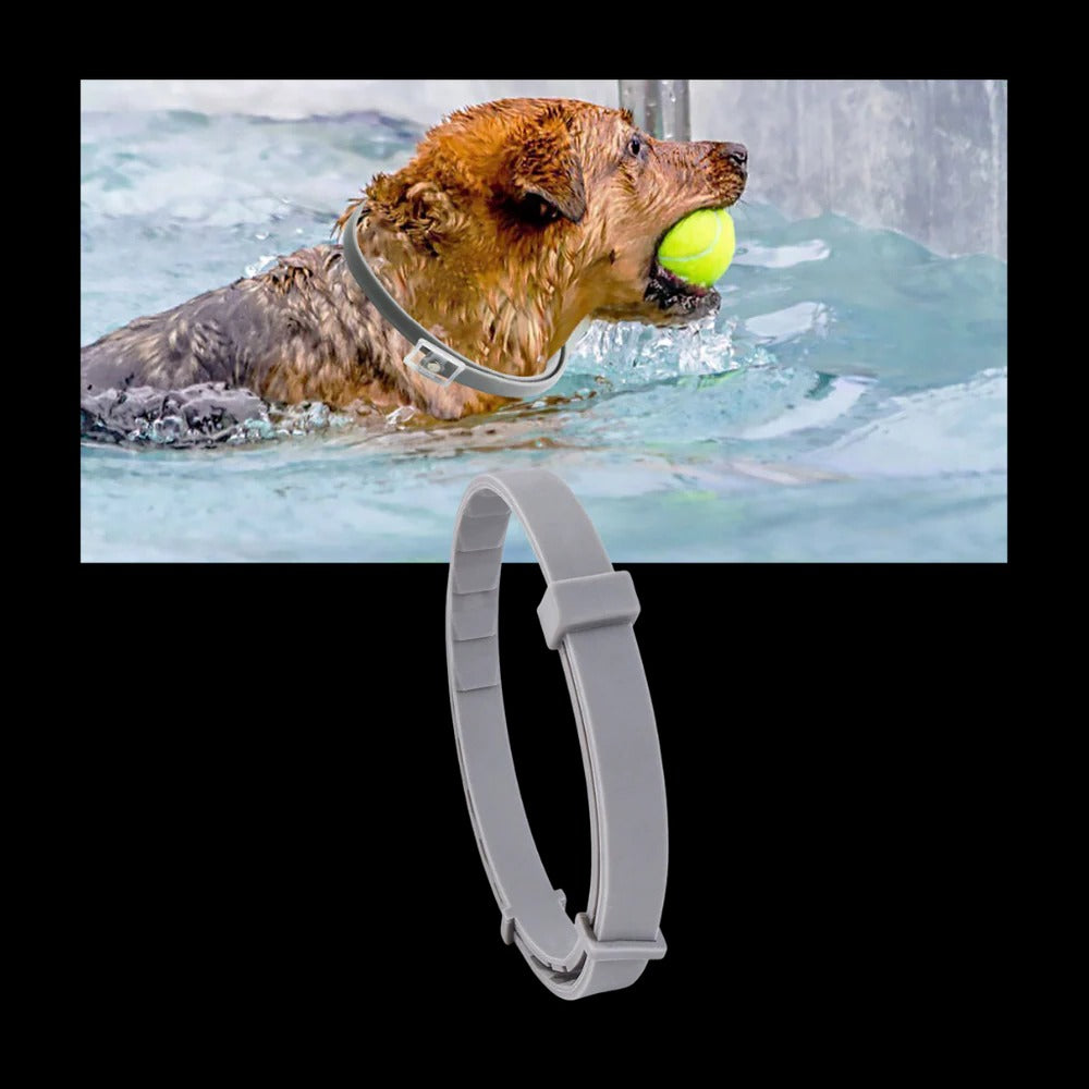 Collier antiparasitaire pour animaux de compagnie 6