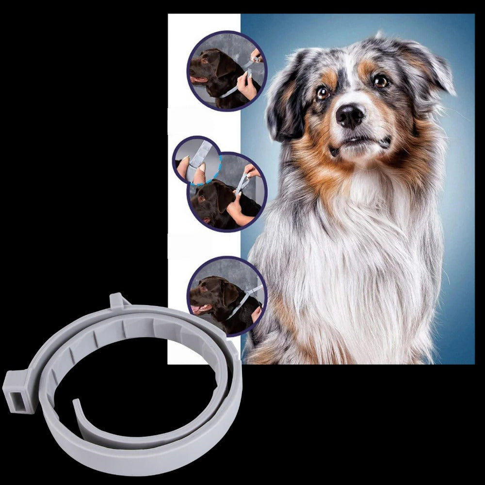 Collier antiparasitaire pour animaux de compagnie 7