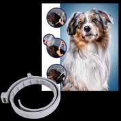 Collier antiparasitaire pour animaux de compagnie 7