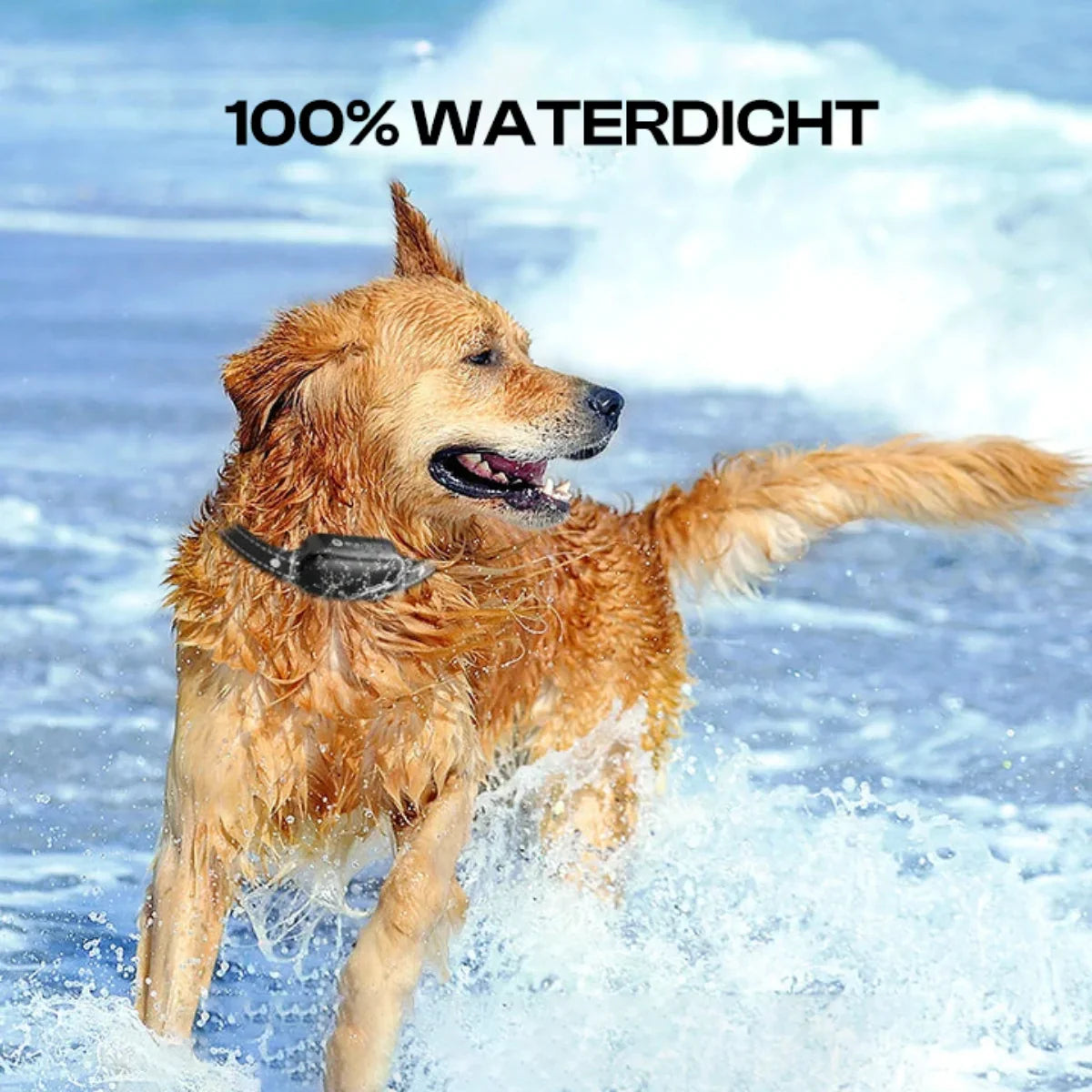 Collier d'entraînement pour chiens électriques avec télécommande, étanche, 16 niveaux de choc réglables, plage de 1000 m, bip et modes de vibration 4