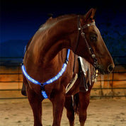 Collier de poitrine LED pour cheval 3
