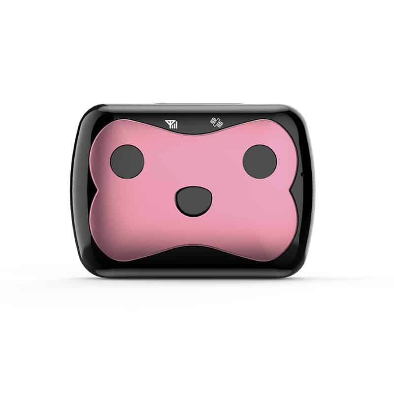 Collier de repérage GPS pour chiens 0