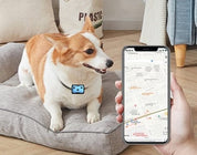 Collier de repérage GPS pour chiens 5