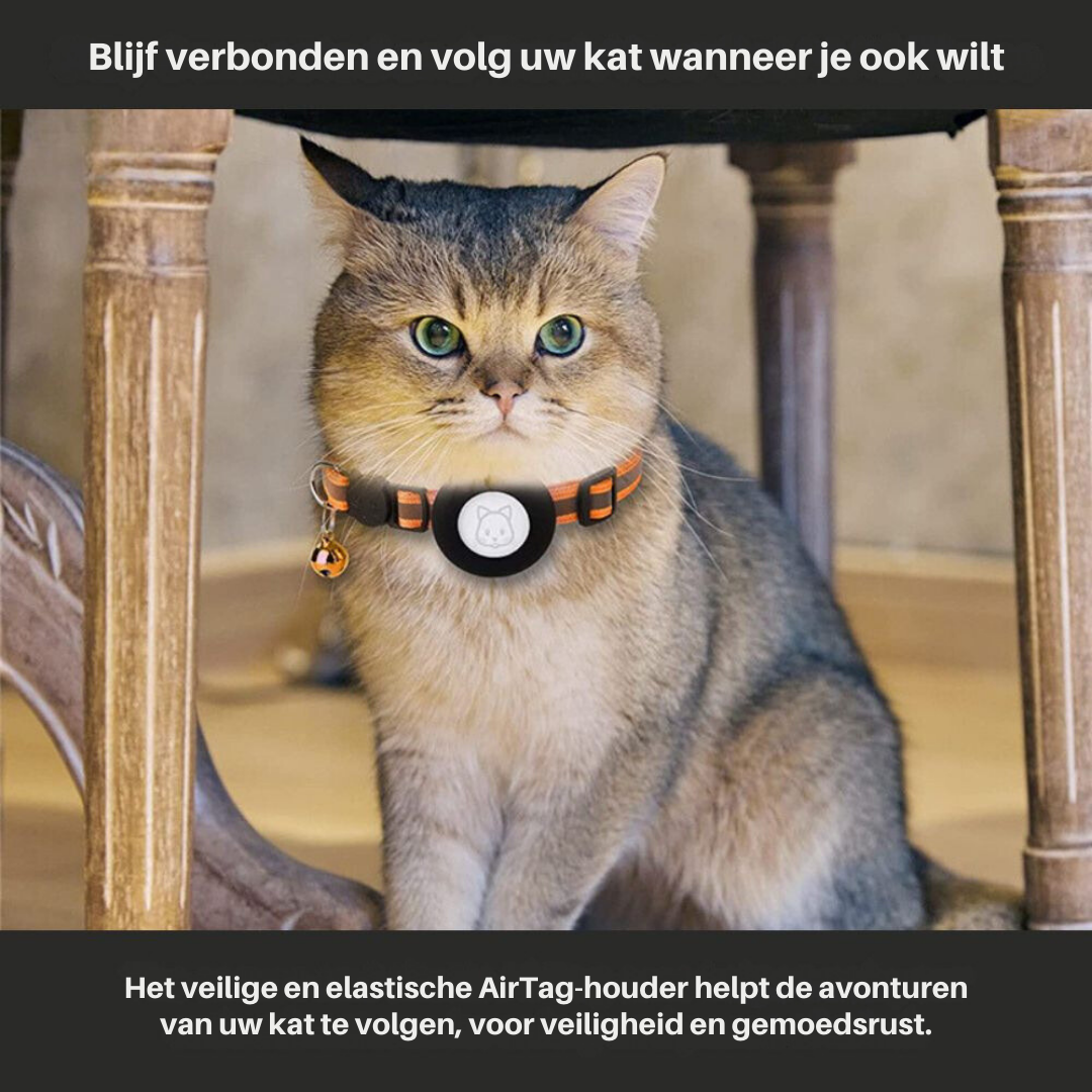 Collier de tracker Cat GPS avec fermeture rapide et conception réfléchissante pour une visibilité nocturne améliorée 2