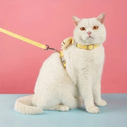 Collier et harnais pour chat 3
