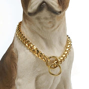 Collier pour chien robuste 1