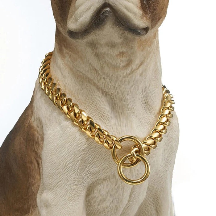 Collier pour chien robuste 1