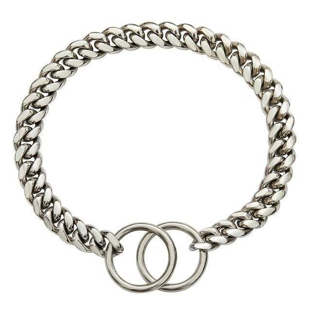 Collier pour chien robuste 11