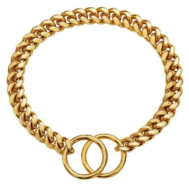 Collier pour chien robuste 4