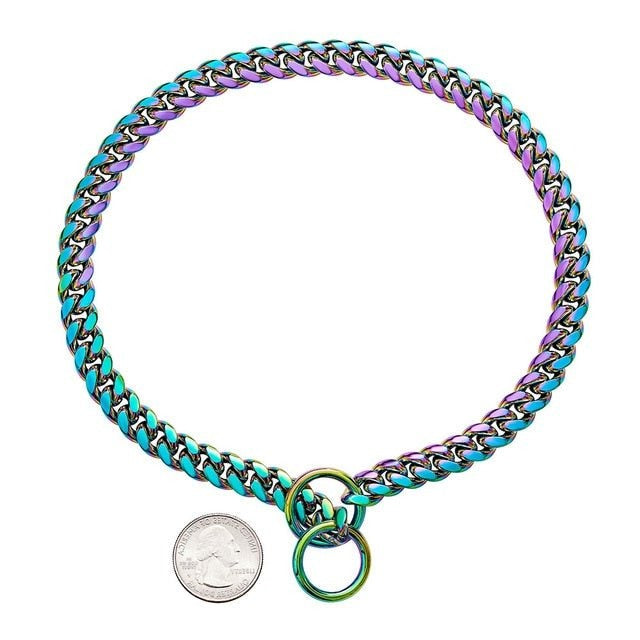 Collier pour chien robuste 7