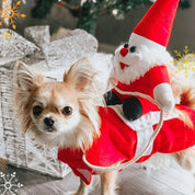 Costume de chien chevauchant le Père Noël pour Noël 0
