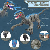 Dinosaure à distance 2