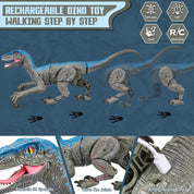 Dinosaure à distance 4