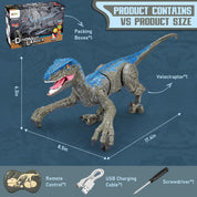 Dinosaure à distance 5