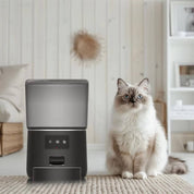 Distributeur automatique intelligent de nourriture pour chats et chiens 2