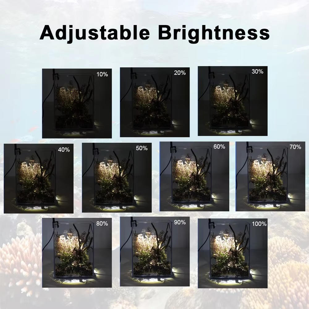 Éclairage LED pour aquarium 6