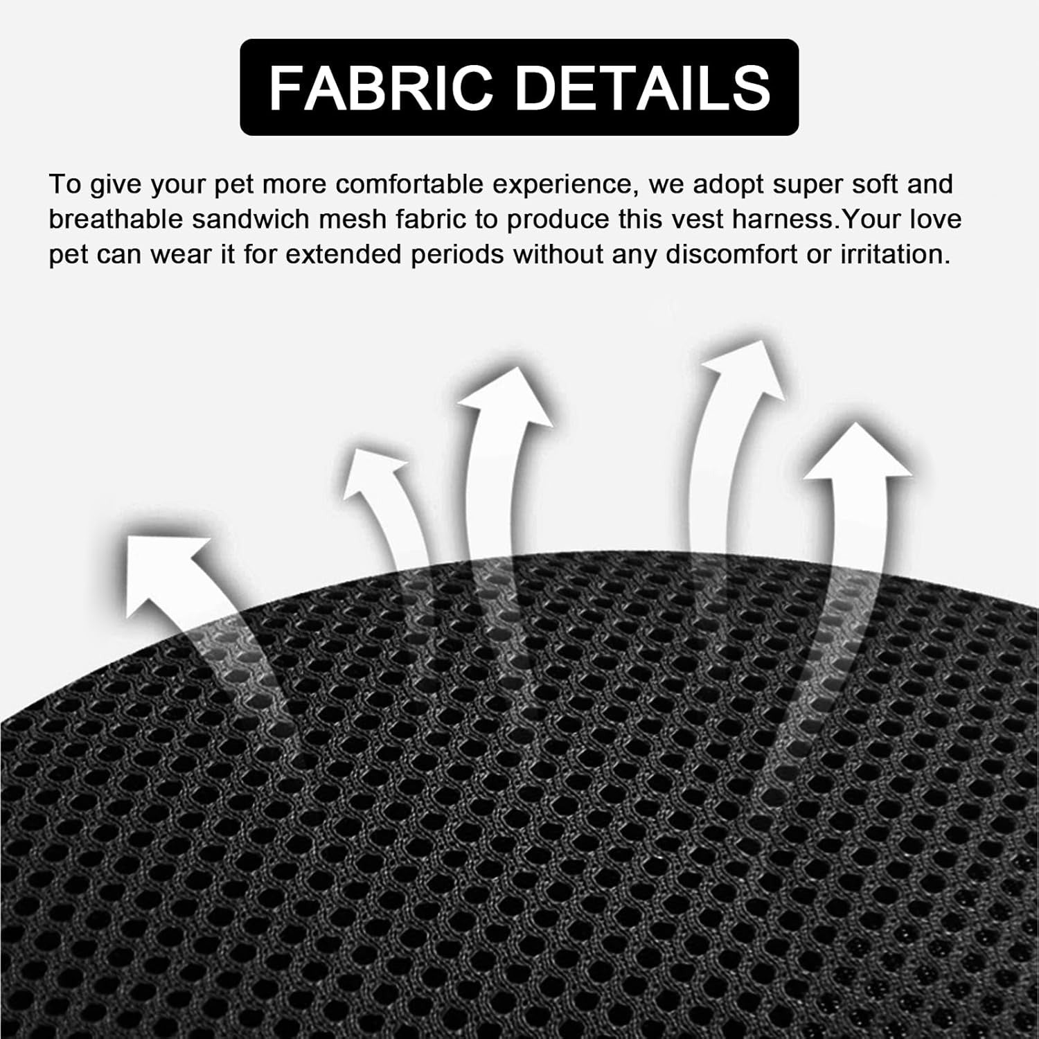 Ensemble harnais et laisse réfléchissants pour chat 3