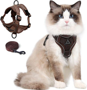 Ensemble harnais et laisse réfléchissants pour chat 8