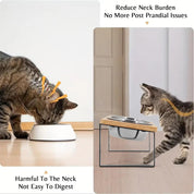 Gamelle surélevée pour chat 3