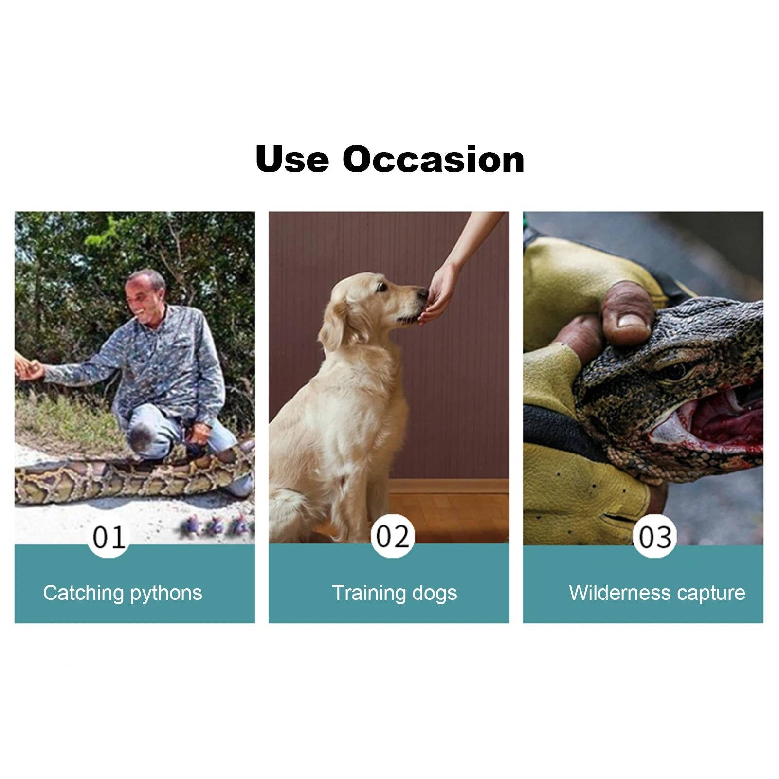 Gants avec protection contre les morsures 2