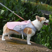 Gilet rafraîchissant pour chiens pour les activités de plein air 1