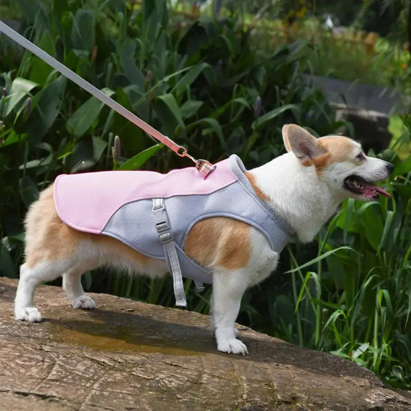 Gilet rafraîchissant pour chiens pour les activités de plein air 1