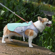 Gilet rafraîchissant pour chiens pour les activités de plein air 2
