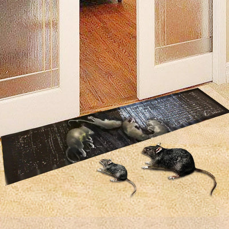 Grand piège à colle 3