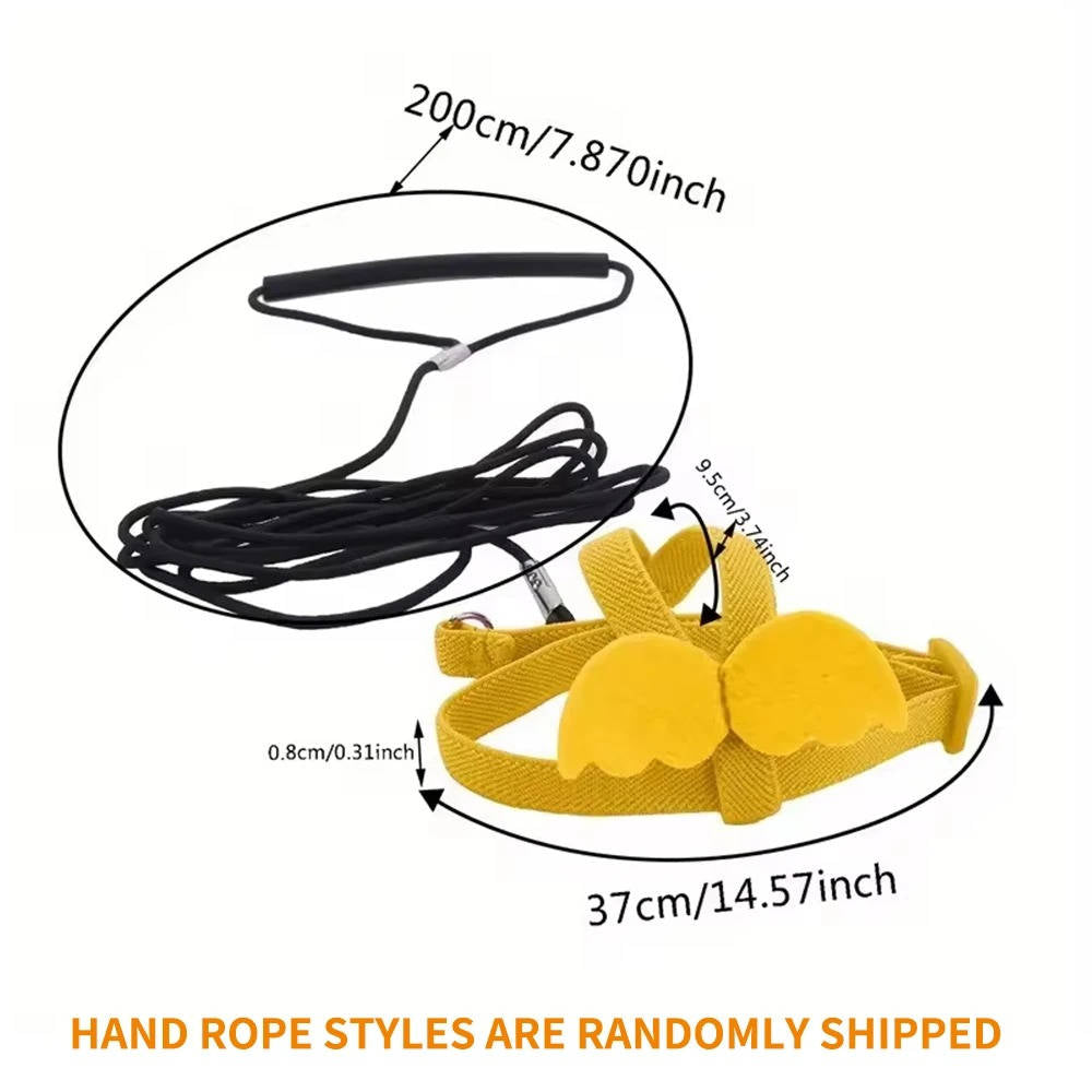 Harnais pour perroquet 4