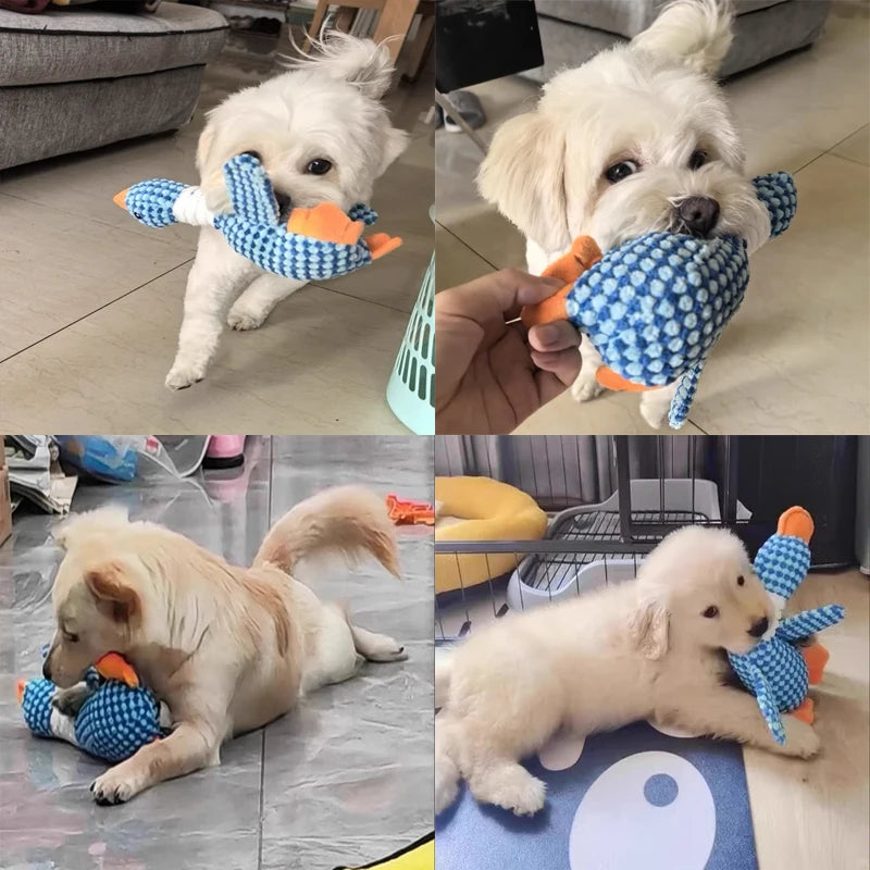 Jouet à mâcher en peluche pour chien avec un couinement 1