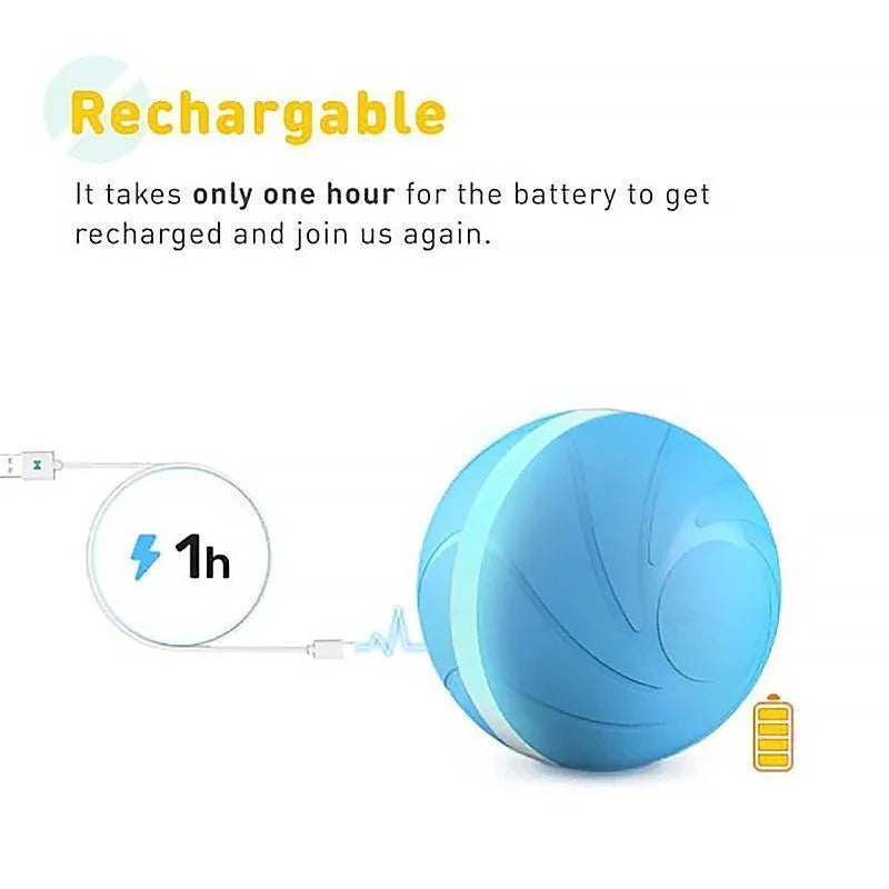 Jouet de mouvement pour animaux de compagnie Magic Ball 6